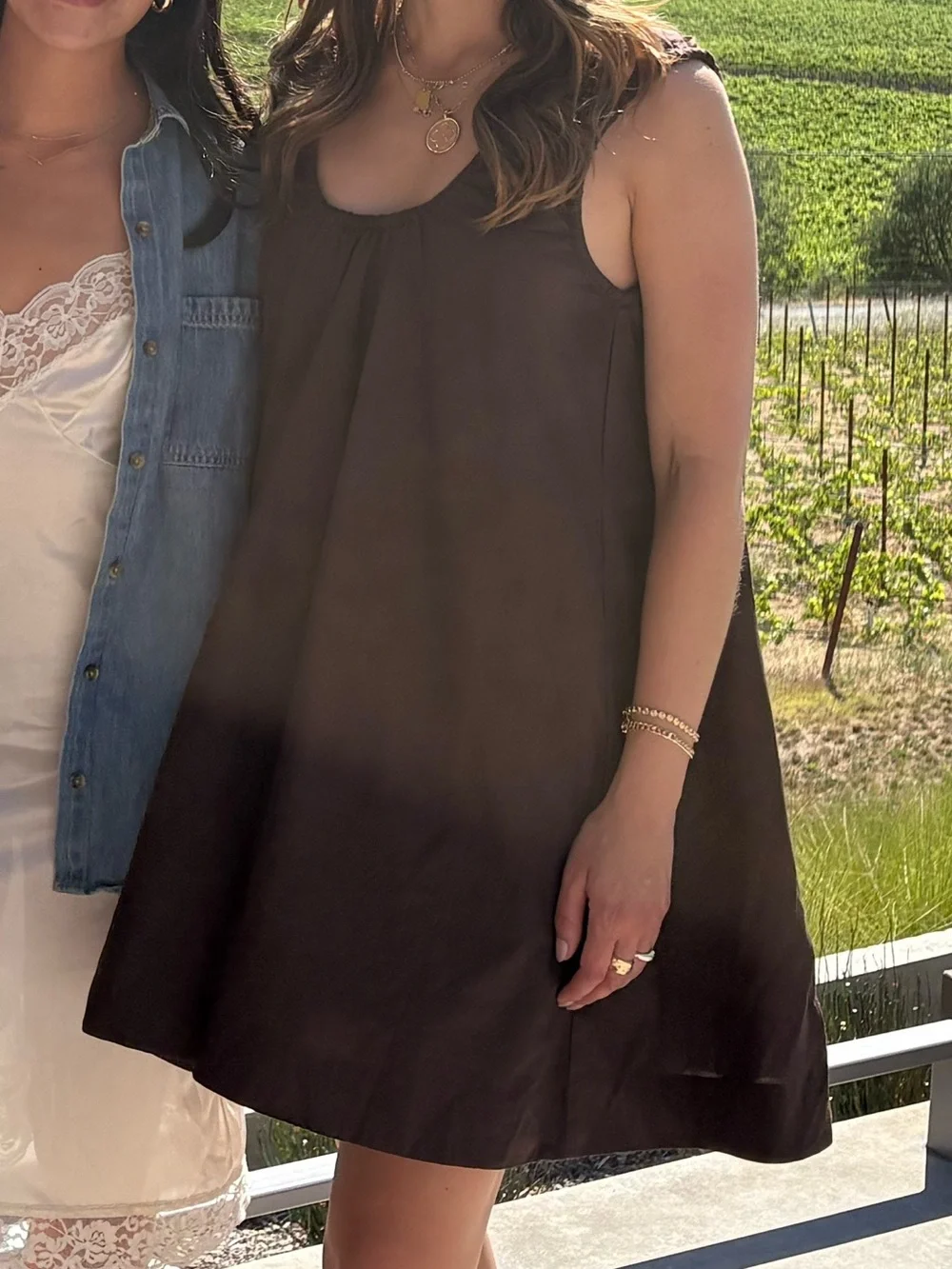 Modern Citizen Winnie Sleeveless Brown Swing Dress